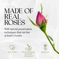 thumbnail image 4 of GLAMOUR BOUTIQUE 7-Piece Forever Flowers Heart Shape Box - Preserved Roses, Immortal Roses That Last A Year - Eternal Rose Preserved Flowers for Delivery Prime Mothers Day & Valentines Day - Pink, 4 of 9
