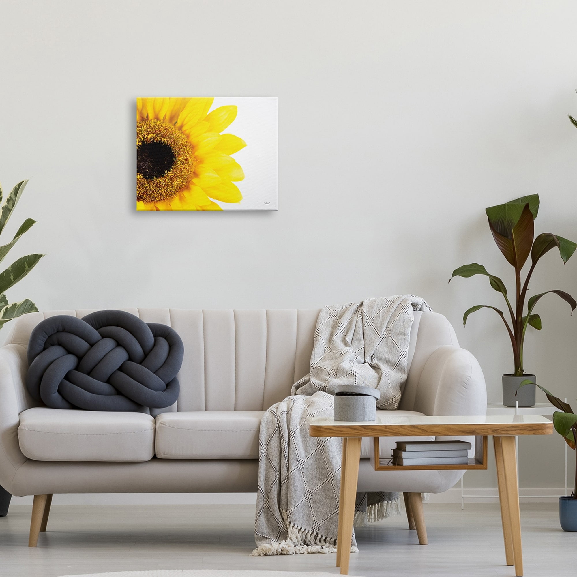 Stupell Industries Detail of Sunflower Disk And Petals Photograph,20 x 16, Design by Donnie Quillen