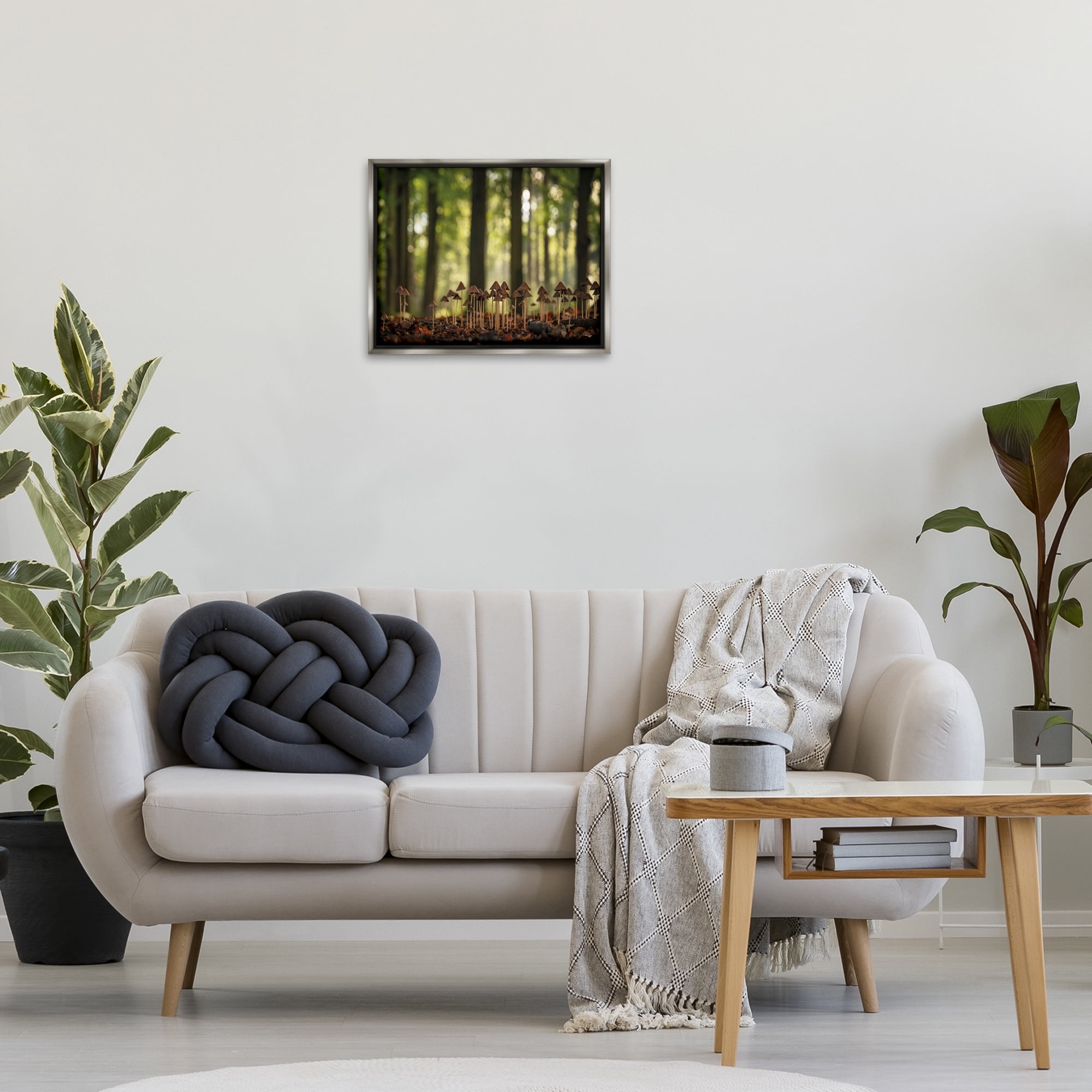 Stupell Industries Mushroom Sprouts in Forest Botanical & Floral Photography Gray Floater Framed Art Print Wall Art, 21 x 17