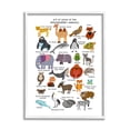 thumbnail image 4 of Stupell Industries Children's ABC chart of Endangered Animals Fun Alphabet, 24 x 30,Design by Sangita Bachelet, 4 of 5