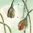 thumbnail image 2 of Paschke, Chris 20x20 White Modern Wood Framed Museum Art Print Titled - Not a California Poppy II, 2 of 4