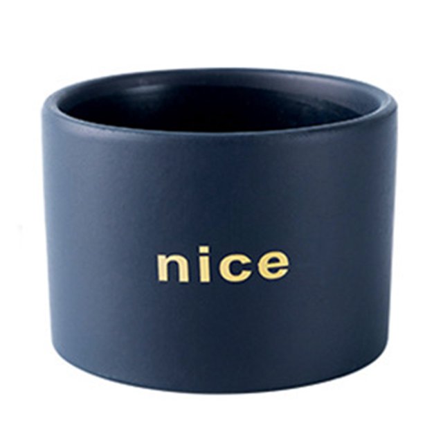 Coofit Ceramic Plant Pot Decorative: Simple Flower Pot Succulent Planter Pot with Hole