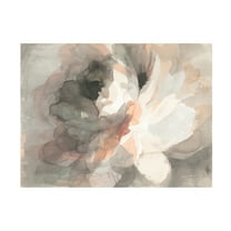 Trademark Fine Art 'Abstract Peony' Canvas Art by Danhui Nai