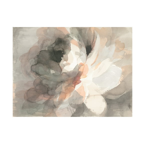 Trademark Fine Art 'Abstract Peony' Canvas Art by Danhui Nai