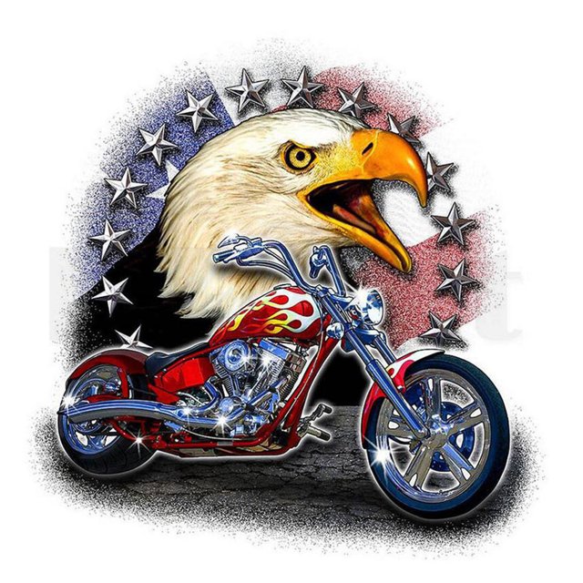 5D DIY Diamond Painting Kits Full Square Drill Eagle Motocicleta Mosaico Imagen Sywqhk Decoración hogareña