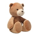 thumbnail image 2 of Bedtime Originals Animal Alphabet Plush Brown Bear Stuffed Animal Toy, 2 of 6