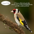 thumbnail image 5 of Happy Wings Finch Blend Bird Food, Mix of Sunflower Hearts/Kernels and Nyjer Seed Wild Bird Food 14 Ounce | Prefilled Sock | No Grow Seed I Bird Seeds for Wild Birds, 5 of 7