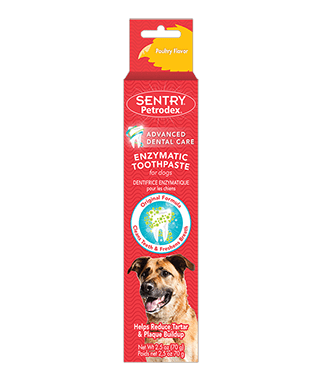 sentry petrodex toothpaste