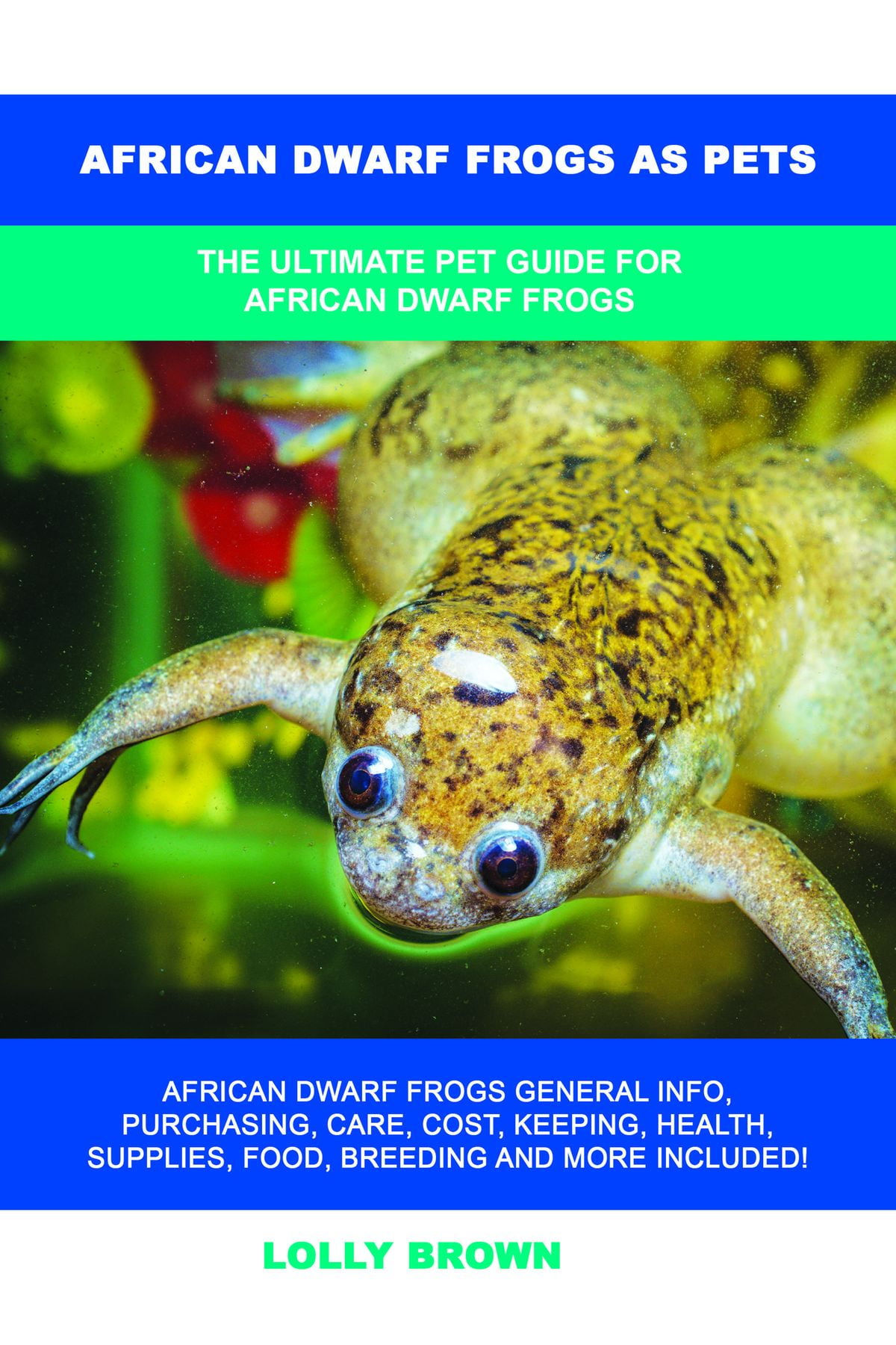 african dwarf frog cost
