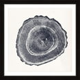 thumbnail image 3 of Marmont Hill Tree Ring III Framed Wall Art, 3 of 5