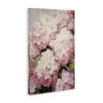 thumbnail image 3 of Stupell Industries Cottage Blush Pink Hydrangeas Canvas Art, 16 x 24, by Petals Prints Design, 3 of 8