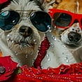 thumbnail image 5 of BCIIG Dogs Sunglasses Blanket Shower Curtain Set with Hooks 100% Polyester 36"x72, 5 of 7
