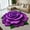 ?? Purple, variant on Viflosae Outdoor Rugs Washable Rugs 3 D Flower Mat Soft Carpet Non-Slip Area Carpet Dining Room Home Bedroom Carpet Floor Gift for Anniversary, Birthday, Christmas