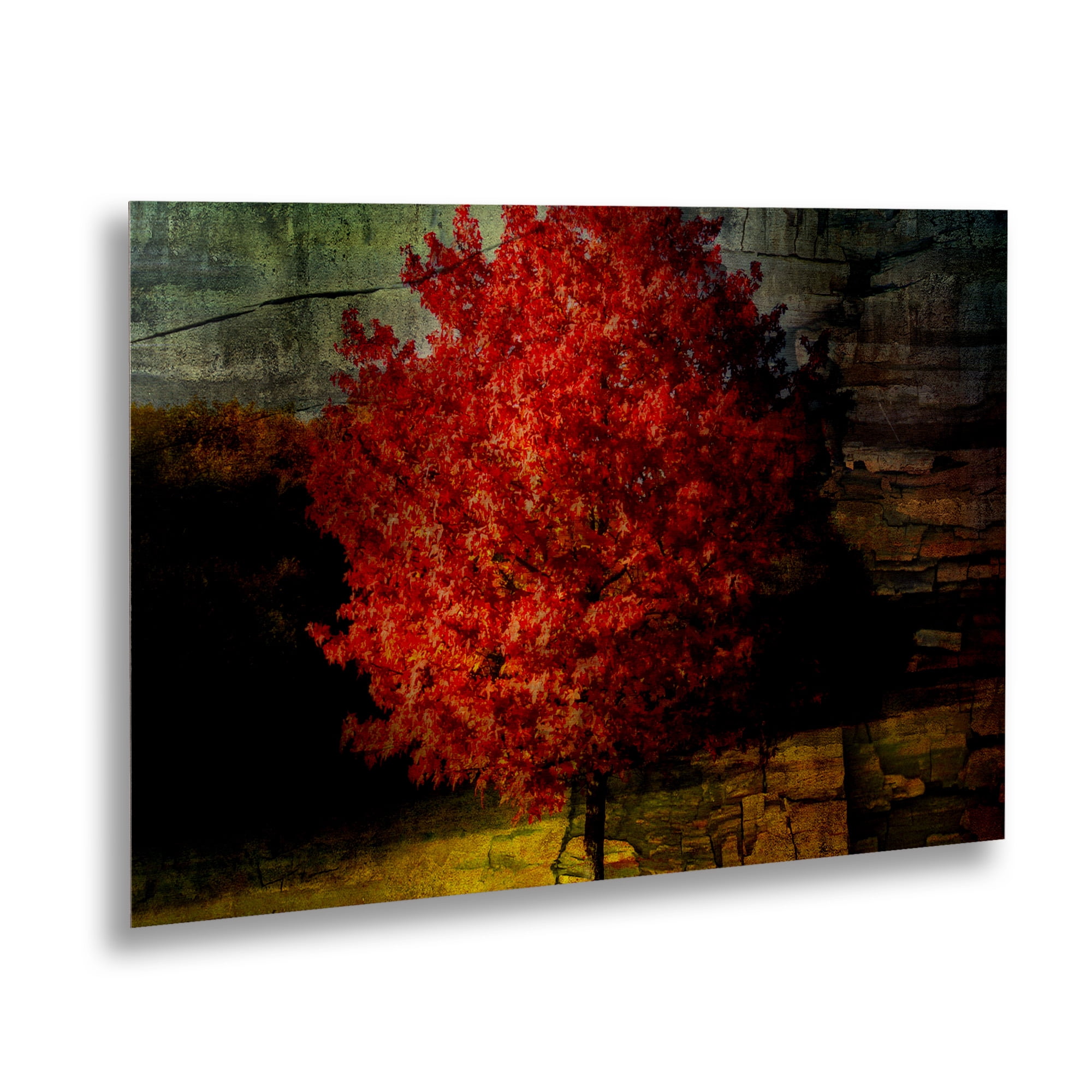 Trademark Fine Art 'Autumn Red' Brushed Aluminum Wall Art Art by Philippe Sainte-Laudy