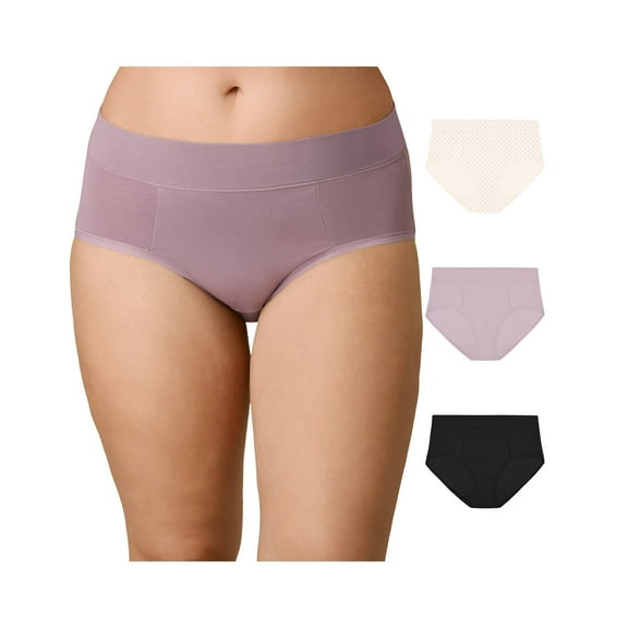 Playtex Tummy Smoothing Hipster Underwear Pack, Moisture-Wicking, 3-Pack (Plus Sizes) Vint Mauve/Black/Heirloom White Dot 2XL Women's