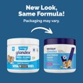 thumbnail image 2 of Vetinque Glandex Anal Gland Soft Chews, for All Dogs, Bacon Flavored, 60 Count, 2 of 12