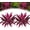 2 Pcs, variant on 2/4/6/8 Pcs Artificial Ti Plant, Large Realistic Artificial Boston Fern & Dragon's Blood Tree Plants with Vibrant Pink/Purple Leaves, UV Resistant Fake Ferns for Outdoors Home Garden Wedding (8 Pcs)