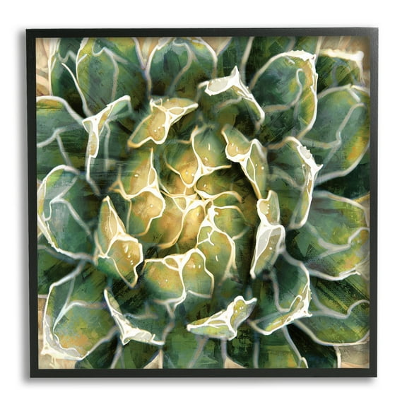 Stupell Industries Leafy Succulent Plant Nature Botanical & Floral Painting Black Framed Art Print Wall Art