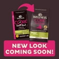 Wellness Core Natural Grain Free Dry Dog Food, Small Breed Healthy