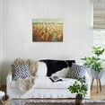 thumbnail image 3 of Field of Spring Flowers II, Botanical Stretched Canvas Wall Art by Tim Otoole Sold by ArtCom, 3 of 5