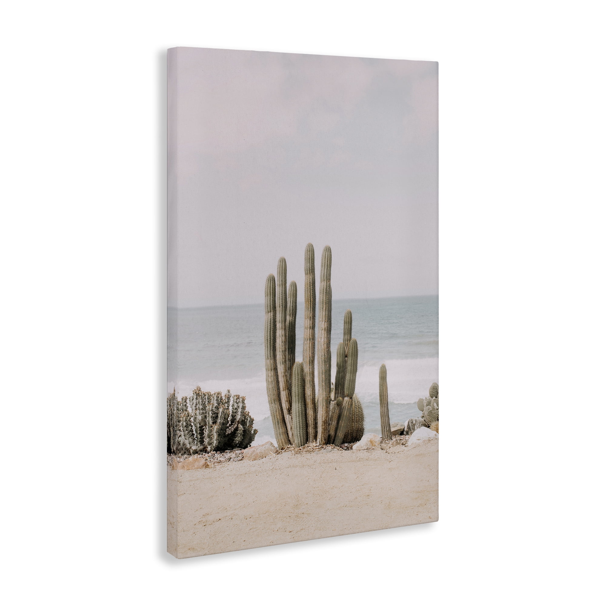 Stupell Industries Cactus on Beach Shore Landscape & Nature Photography Wrapped Canvas Art Print Wall Art, 16 x 24