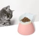 thumbnail image 3 of Cuenco inclinado para gatos, contenedor de comida para mascotas, plato alimentador, plato de agua, viaje para cachorros 145 cm x 13 cm rosa jinwen Cuencos para gatos, 3 of 6