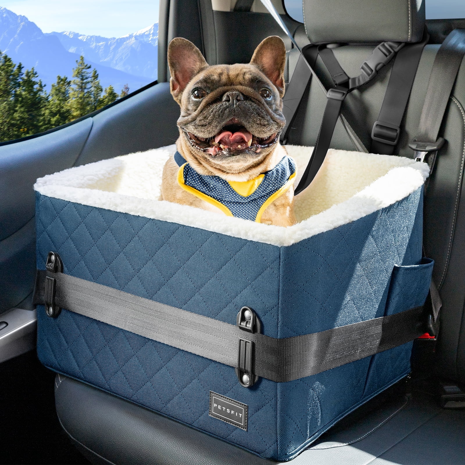 PETSFIT Pet Car Seat for Small Dogs,Patented Safety Buckles, Detachable Clip-On Safety Leash, 30 LBS (Blue)