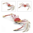 thumbnail image 1 of Simulated Crab Model Decoration Children Plastic Sea Animal Toys Kid Gift Home Party Decor, 1 of 4