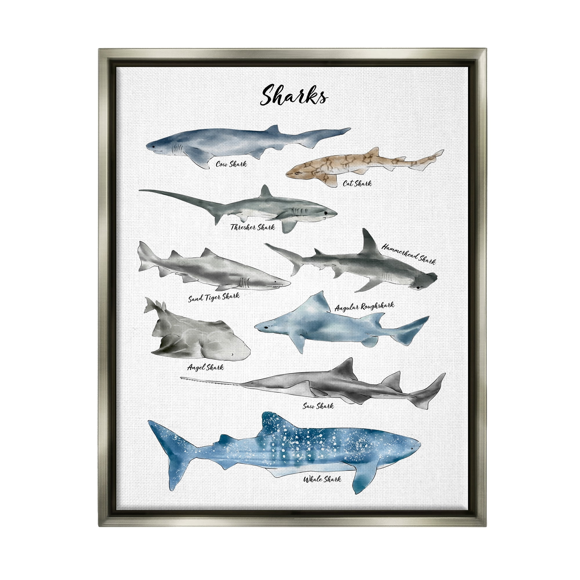 Stupell Industries Nautical Shark Chart Watercolor Marine Animals Luster Gray Framed Floating Canvas Wall Art, 16x20, by Ziwei Li