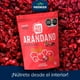 thumbnail image 5 of Arandanos deshidratados GRUPO PREMIER Snacks fucsia 1kg, 5 of 7