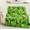 Busy Elf, variant on Busy Elf Warner Bros Kids Silk Touch Throw Blanket, 50 x 70 inches Green