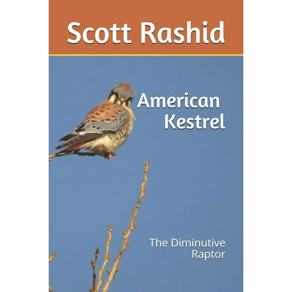 The American Kestrel