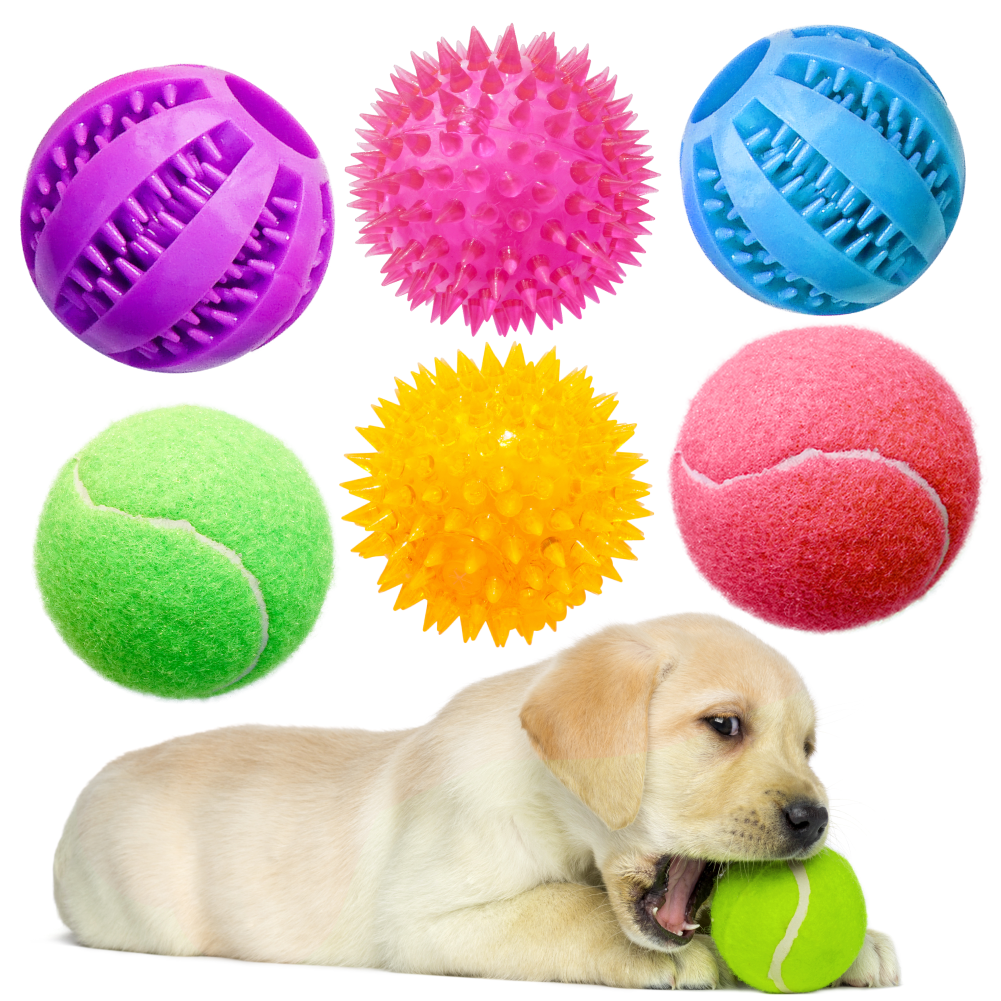 2X Rainbow Pet Dog Puppy Snack Ball Chew Toy Feeding Treat for Training Activit 
