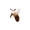 Light Brown, variant on Bug Plush Cat Toys with Catnip – Interactive Mosquito and Beetle Toys for Indoor Kittens,Soft Toys for Batting,Pouncing and Chasing