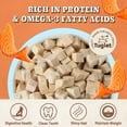 thumbnail image 3 of TUGLET Freeze Dried Salmon Dog & Cat Treats, Healthy Raw Single Ingredient Salmon Dog Snacks, Dog Food Toppers for Small Medium Large Dogs, Rich in Omega-3, 3.9 oz, 3 of 8