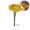 Yellow, variant on Artificial Daffodil Bouquet - Elegant Home Decor & Table Centerpiece for Weddings, Living Rooms, and Special Events, Pack of 2