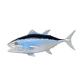 thumbnail image 2 of Vida marina simulada,Modelo de vida marina simulada adornos regalo,Simulación de animales marinos modelo figura juguetes para niños,Simulación para niños ciencia marina,Figuras de animales, 2 of 8