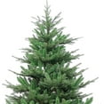 thumbnail image 3 of Holiday Stuff 7 Feet Unlit Rocky Mountain Fir Wide Artificial Christmas Tree (7ft Unlit), 3 of 8