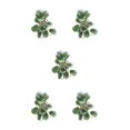 thumbnail image 3 of Cateissary Hermosas plantas de terrario - Naturaleza en interiores Sin necesidad de riego Plantas Decoraciones artificiales Hoja de pavo real Type2 NO2, 3 of 6