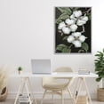 thumbnail image 3 of Stupell Industries French Country Vintage Dogwood Trio Gray Framed Giclee Art, 24 x 30, by Paul Brent, 3 of 7