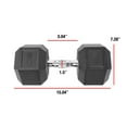 thumbnail image 3 of CAP Barbell Coated Hex Dumbbell, Single 3 - 100 lb, 3 of 6