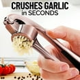 thumbnail image 3 of Zulay Kitchen Garlic Press Set, Easy to Squeeze Garlic Mincer with Peeler & Cleaner, 3 of 9