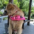 thumbnail image 4 of Chaleco salvavidas para perros, ajustable, antidesgarros, con fuerte flotabilidad y asa de rescate duradera. Ideal para perros medianos, natación, navegación, color rosa., 4 of 5