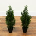 thumbnail image 3 of Nearly Natural 2ft. Artificial Cedar Pine Tree UV Resistant (Indoor/Outdoor) - Set of 2, 3 of 5