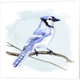 thumbnail image 2 of Great Art Now Coastal Blue Jay by Jacob Green 2 Piece Canvas Art Set Each 14W x 14H, 2 of 3