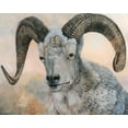 thumbnail image 2 of Winkler, Kathy 18x15 Gold Ornate Wood Framed with Double Matting Museum Art Print Titled - The Horns Have It II, 2 of 4