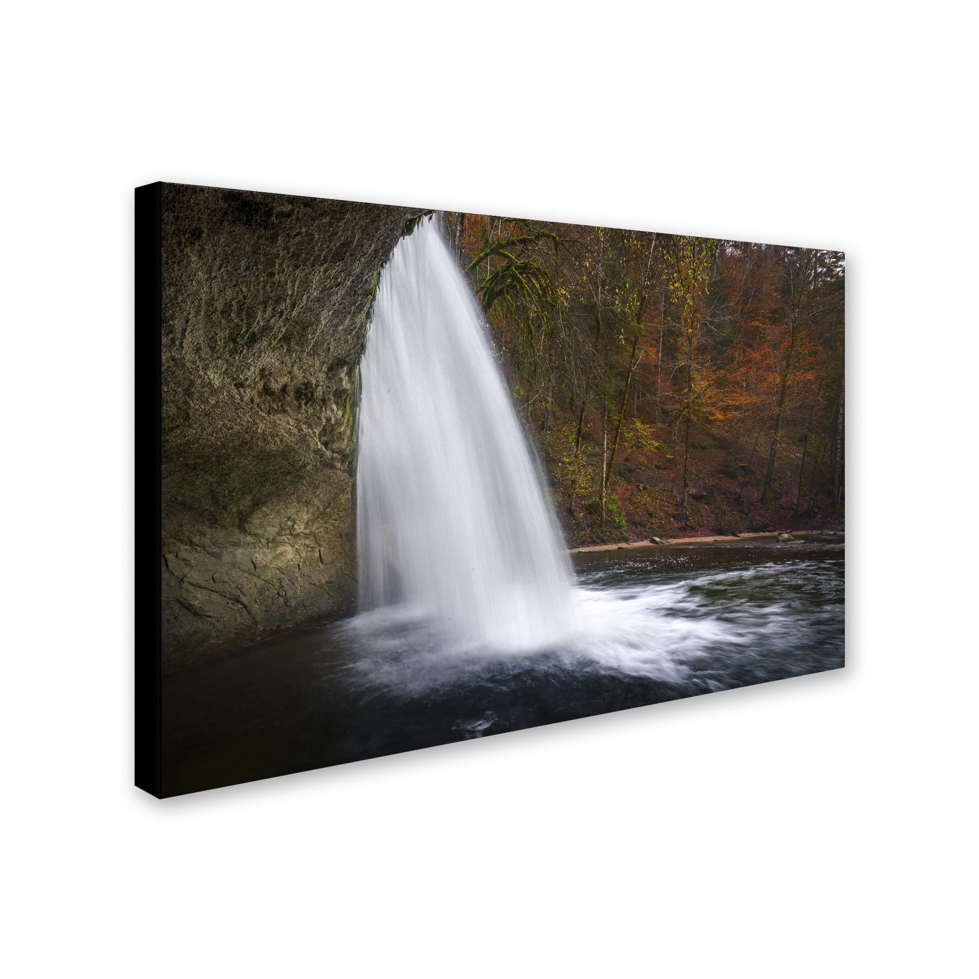 Trademark Fine Art "Nature Beauty" Canvas Art by Mathieu Rivrin