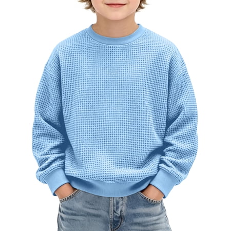 Kids Pullover Hoodie Waffle Knit Solid Color Long Sleeve Loose Light Texture for School Commutes Daily Casual Wear 3-14 Years Light Blue 13-14 Years
