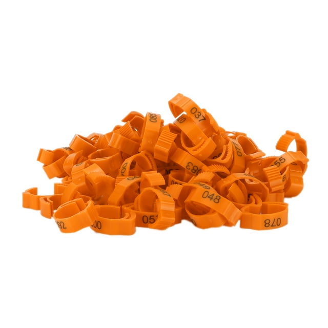 Poultry Leg Bands, Safe And Non- 10pcs/set Chicken Foot Rings For Poultry For Outdoors For Daily For Home Orange