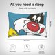 thumbnail image 4 of Funda de almohada rectangular Sylvester, suave y acogedora, con cremallera oculta, para cama, sofá, decoración del hogar, 20 x 30 pulgadas, 4 of 8